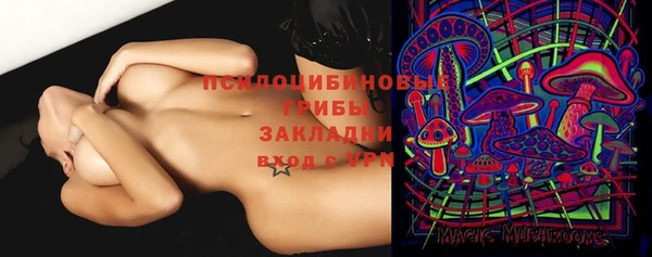 ГАЛЛЮЦИНОГЕННЫЕ ГРИБЫ Горнозаводск
