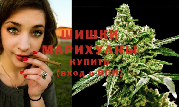 прущий лед Горняк