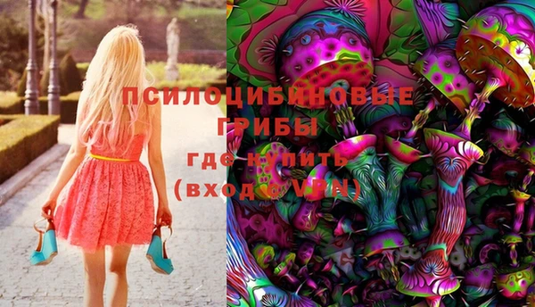 прущий лед Горняк