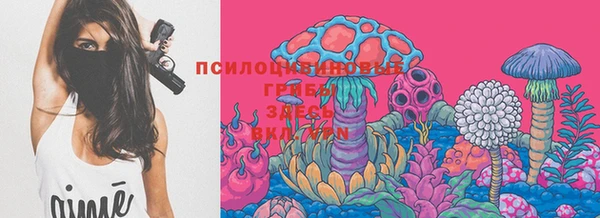 ГАЛЛЮЦИНОГЕННЫЕ ГРИБЫ Горнозаводск