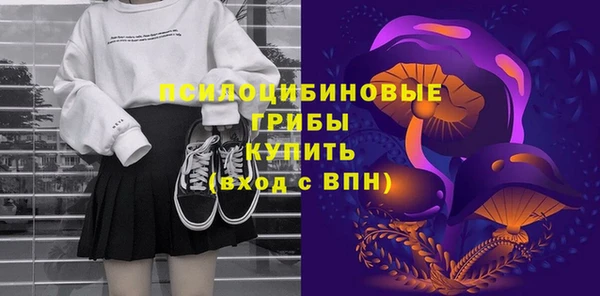ГАЛЛЮЦИНОГЕННЫЕ ГРИБЫ Горнозаводск