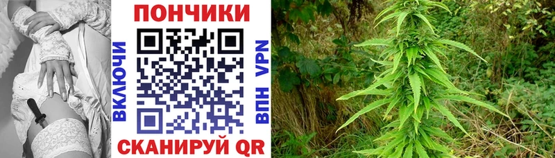 Бошки Шишки Amnesia  купить  сайты  Елизово 